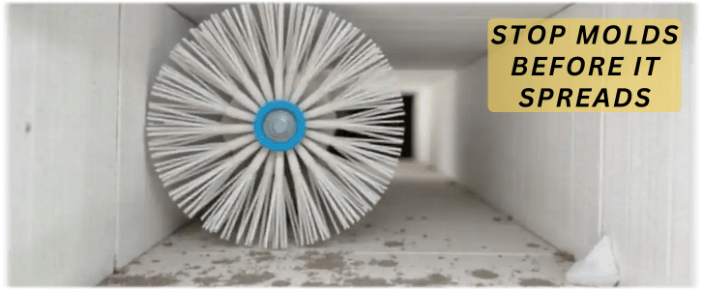 Air Duct Mold Removal in Cherry Hill NJ