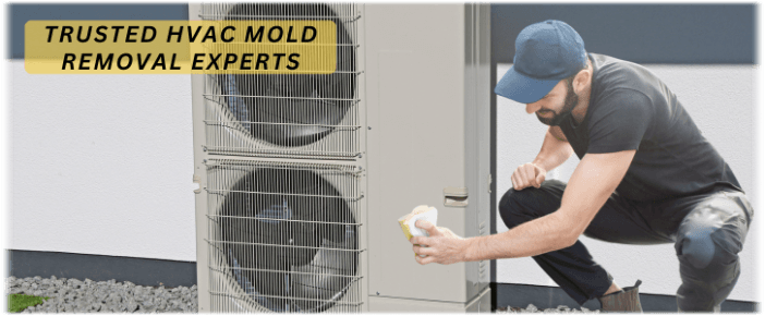 HVAC Mold Removal Cherry Hill NJ